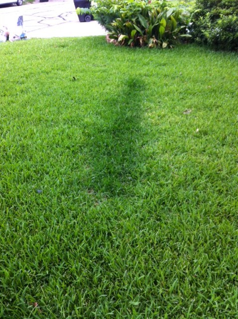 Two weeks after application.